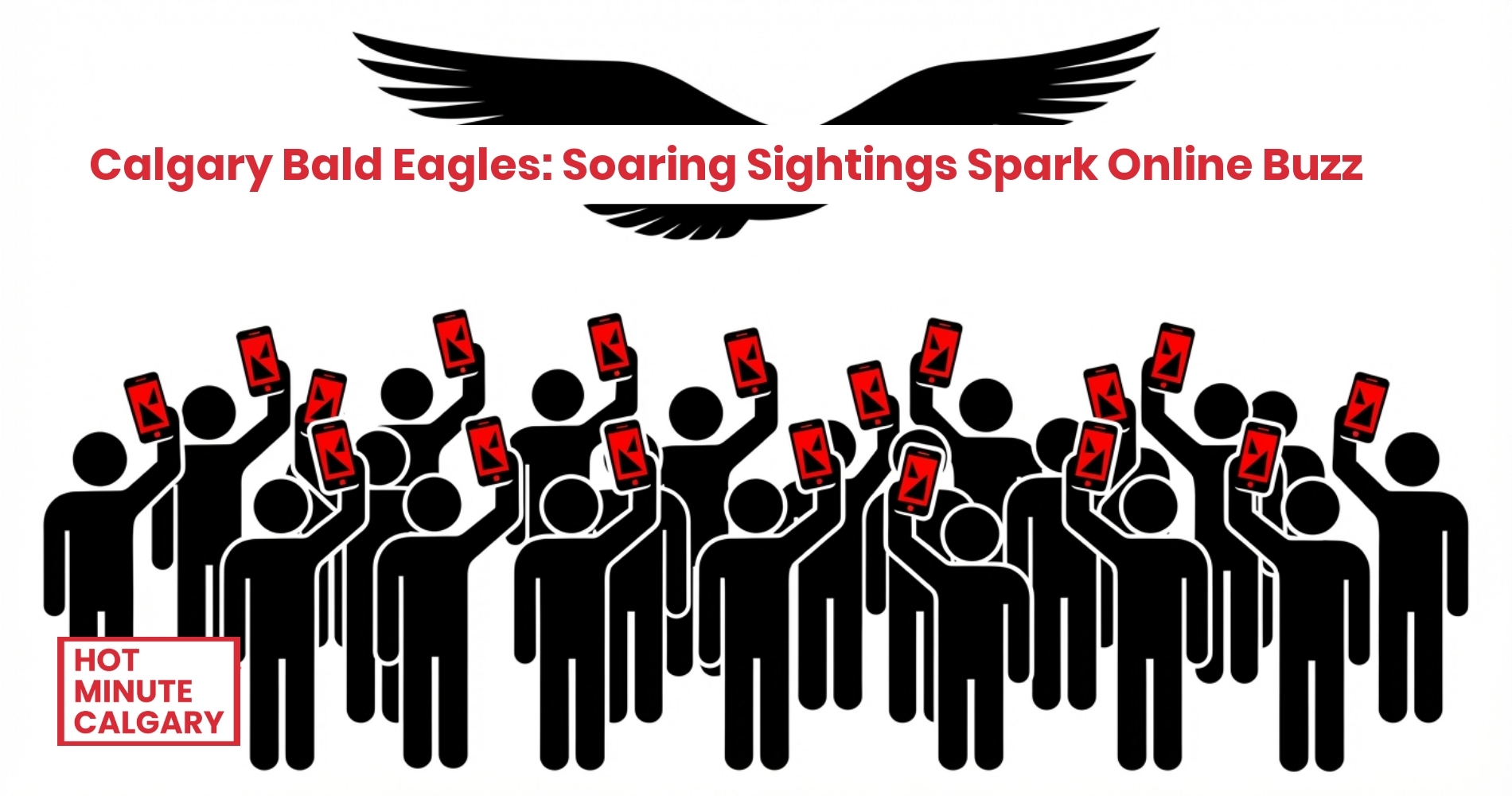 Calgary Bald Eagles: Soaring Sightings Spark Online Buzz