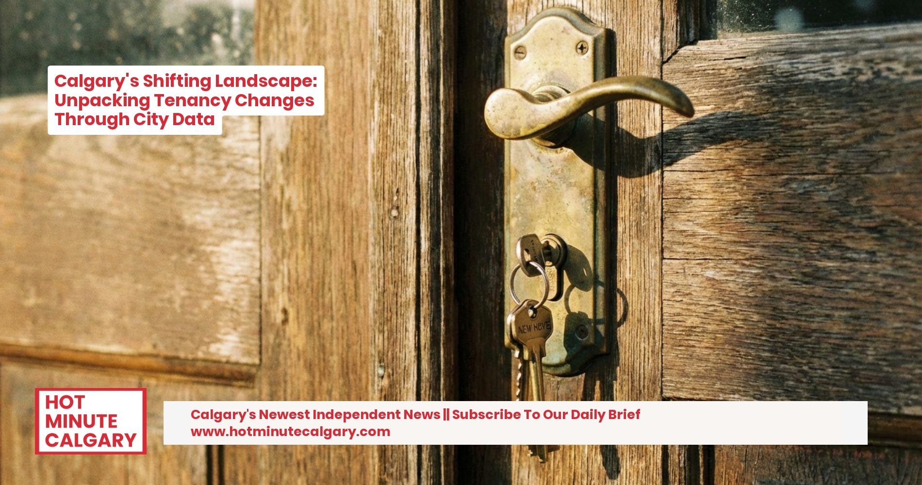 Calgary's Shifting Landscape: Unpacking Tenancy Changes Through City Data