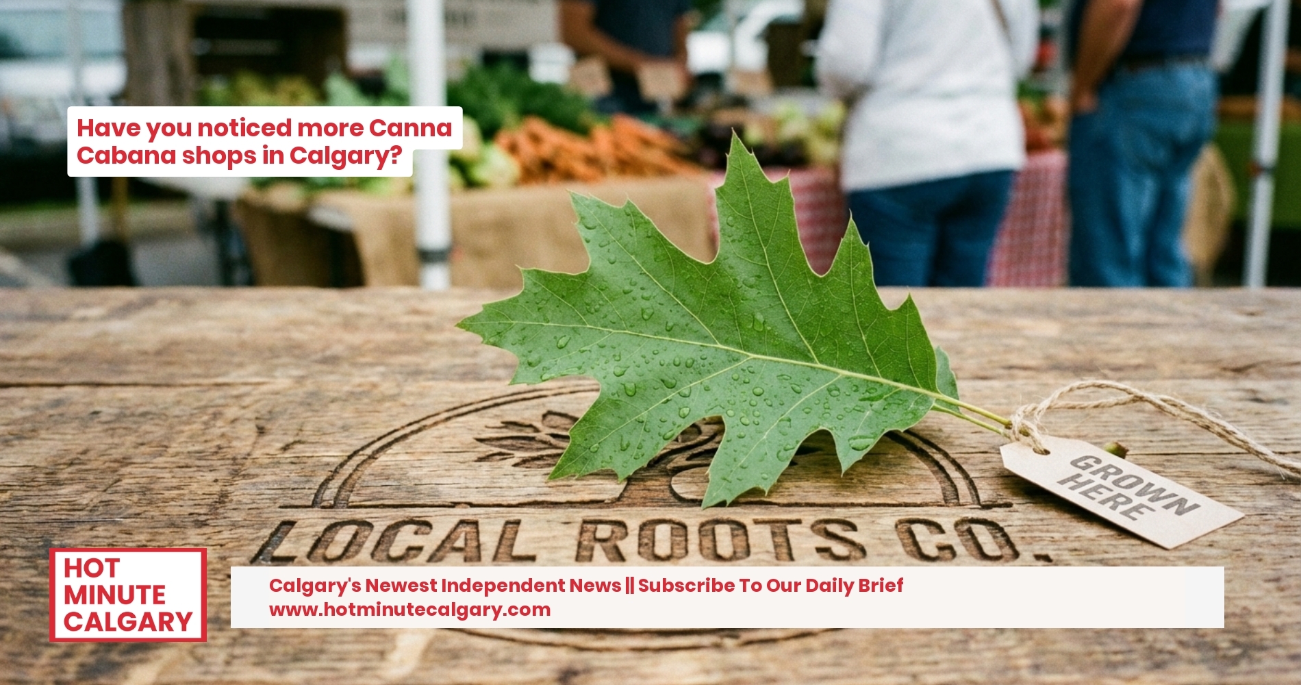 Calgary's Cannabis Titan: High Tide's Banner Year and What It Means for Your Neighbourhood