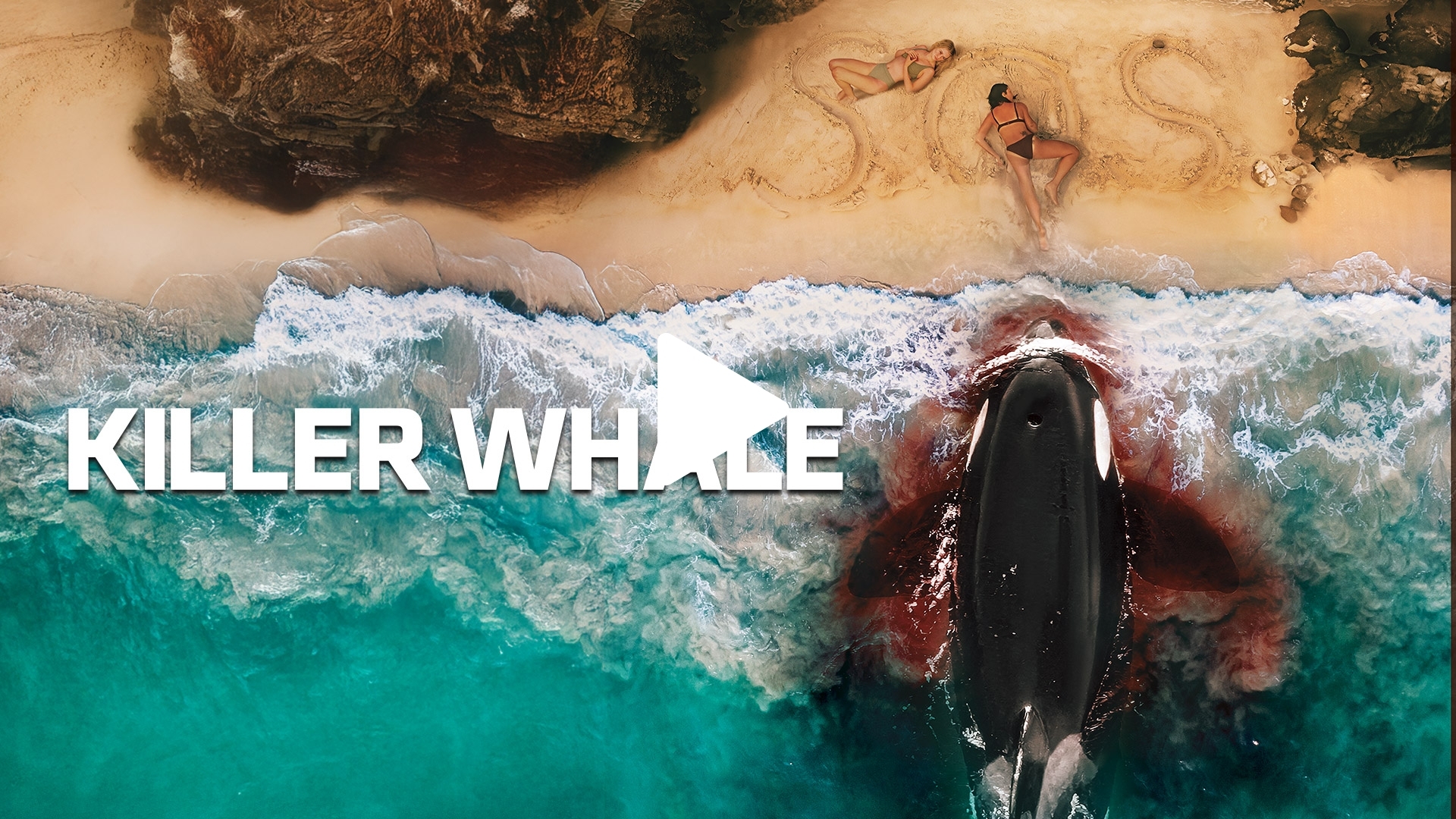 Killer Whale