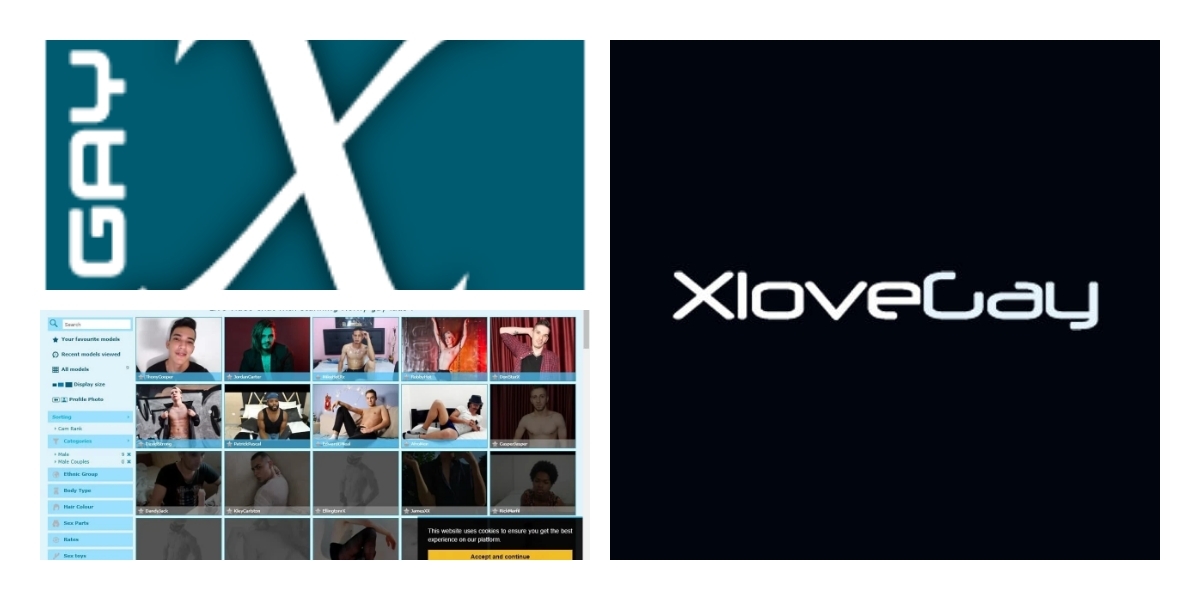 Xlovegay.com review
